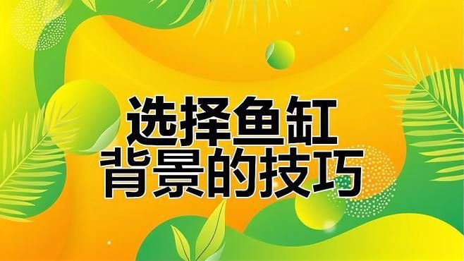過背金龍魚發色過程圖解視頻大全圖片欣賞