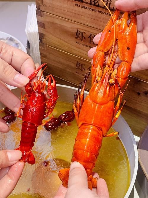 藍(lán)龍魚吃什么魚食比較好