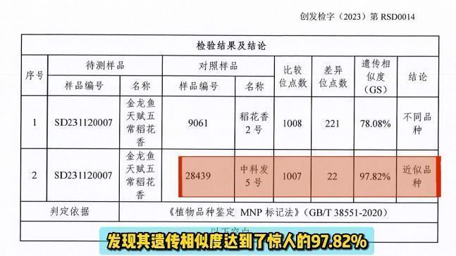 金龍魚診斷：金龍魚健康的診斷