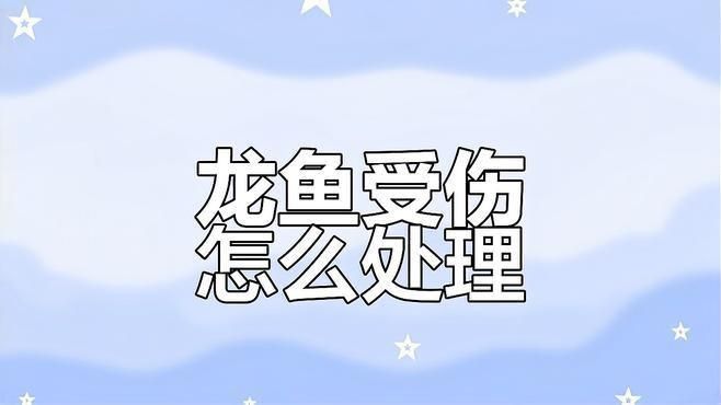 龍魚撞缸了是好事還是壞事 龍魚撞缸了是好事還是壞事 龍魚百科 第11張