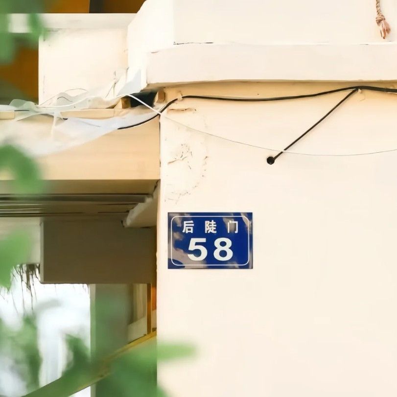 龍魚撞缸了是好事還是壞事 龍魚撞缸了是好事還是壞事 龍魚百科 第12張