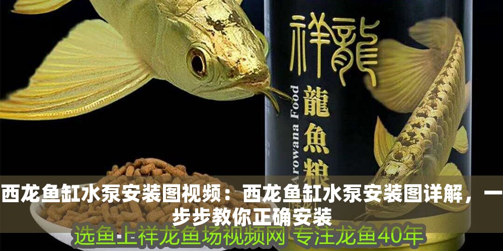 西龍魚缸水泵安裝圖視頻：西龍魚缸水泵安裝圖詳解，一步步教你正確安裝