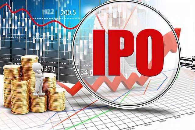 金龍魚和中糧集團的關系如何？