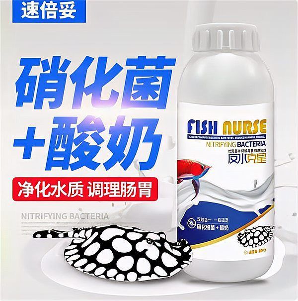 哪些品牌龍魚藥品比較可靠？