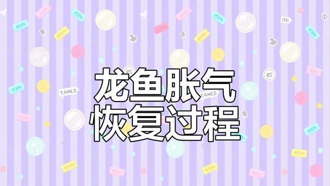 龍魚漲肚后如何急救？