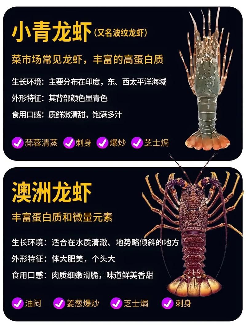 有沒有不同種類的龍蝦圖片? 龍魚百科 第23張 有沒有不同種類的龍蝦圖片? 有沒有不同種類的龍蝦圖片? 龍魚百科 第23張