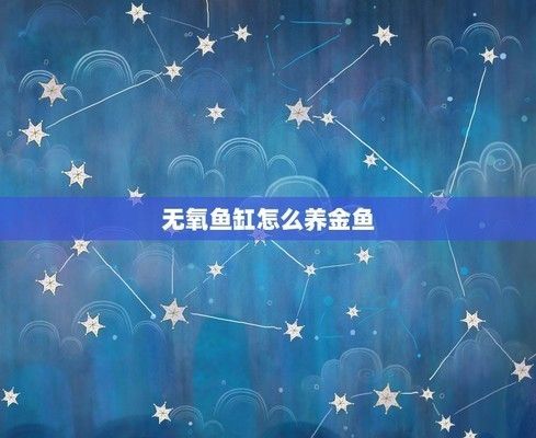金龍魚不打氧能活多久：金龍魚停電多長時間不打氧沒事(龍魚停電多長時間不打氧