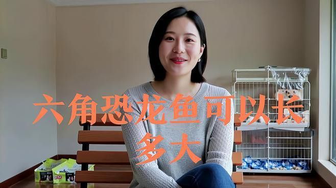 六角恐龍魚最大可以長多大了啊