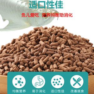 紅龍魚掉眼手術視頻教程大全（紅龍魚掉眼手術視頻教程大全圖片）