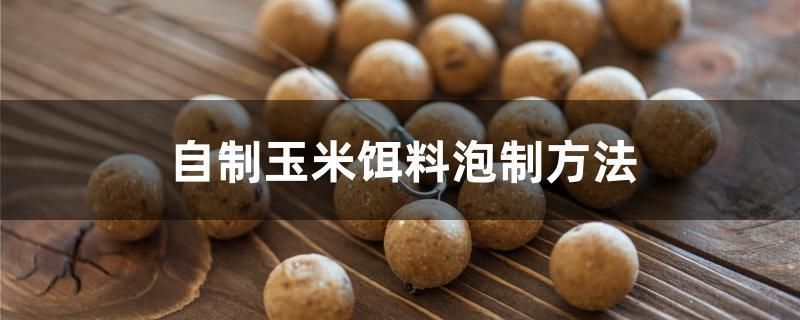 朱巴利魚苗蛋白質來源推薦：朱巴利魚苗的蛋白質來源