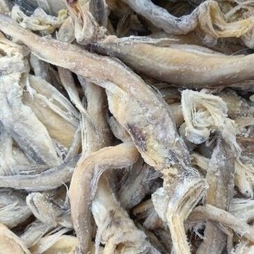 龍頭魚干貨圖片 龍頭魚干貨圖片 龍魚百科 第2張