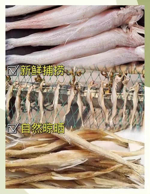 龍頭魚干貨圖片 龍頭魚干貨圖片 龍魚百科 第16張