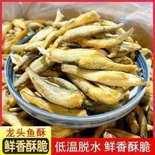 龍頭魚干貨圖片 龍頭魚干貨圖片 龍魚百科 第33張