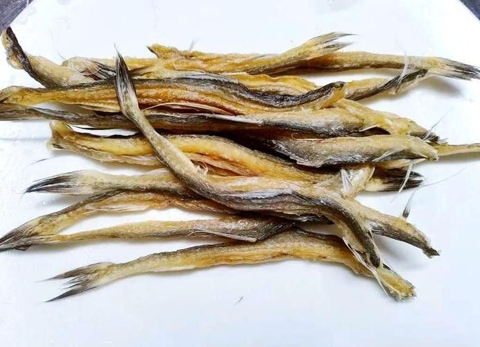 龍頭魚干貨圖片 龍頭魚干貨圖片 龍魚百科 第24張