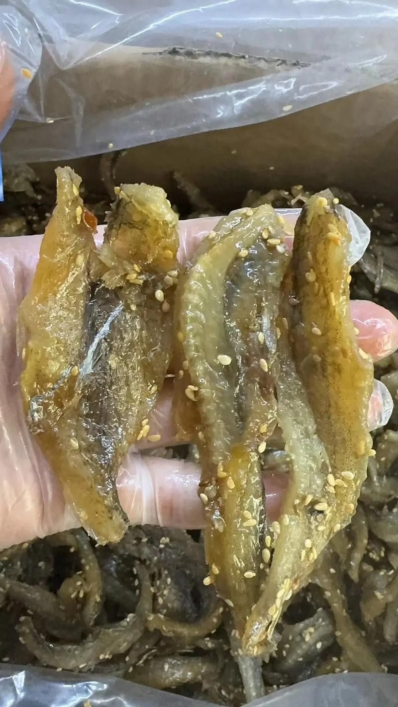 龍頭魚干貨圖片 龍頭魚干貨圖片 龍魚百科 第26張