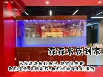 精品紅龍魚視頻在線觀看免費(fèi)播放（精品紅龍魚視頻在線觀看免費(fèi)播放下載）
