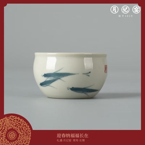 如何選擇適合古龍魚的魚缸？