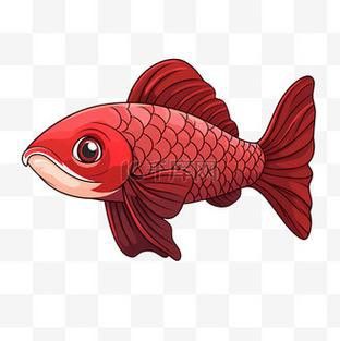 哪里可以找到高清紅龍魚(yú)壁紙？