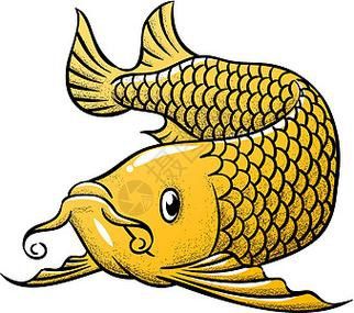 哪里可以找到高清紅龍魚(yú)壁紙？