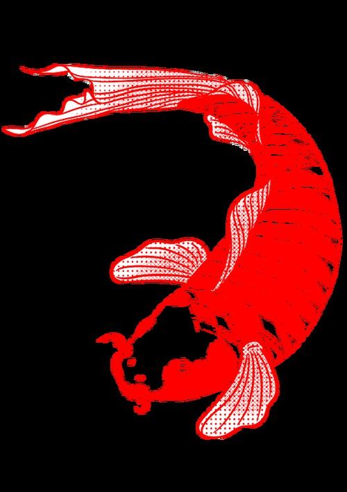 哪里可以找到高清紅龍魚(yú)壁紙？