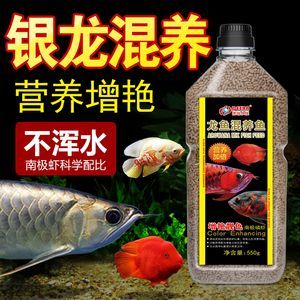 龍魚只吃飼料會營養不良嗎：龍魚飲食結構優化方法