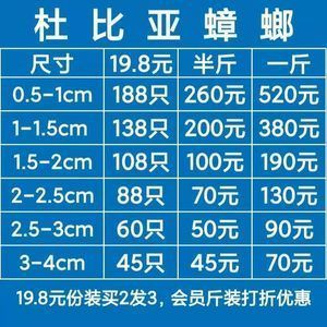 龍魚空運(yùn)多少錢一斤啊：關(guān)于“龍魚空運(yùn)多少錢一斤”的查詢當(dāng)前無法直接提供具體信息