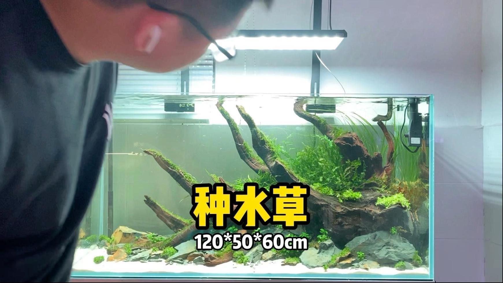 一米二的魚缸可以混養哪些魚？