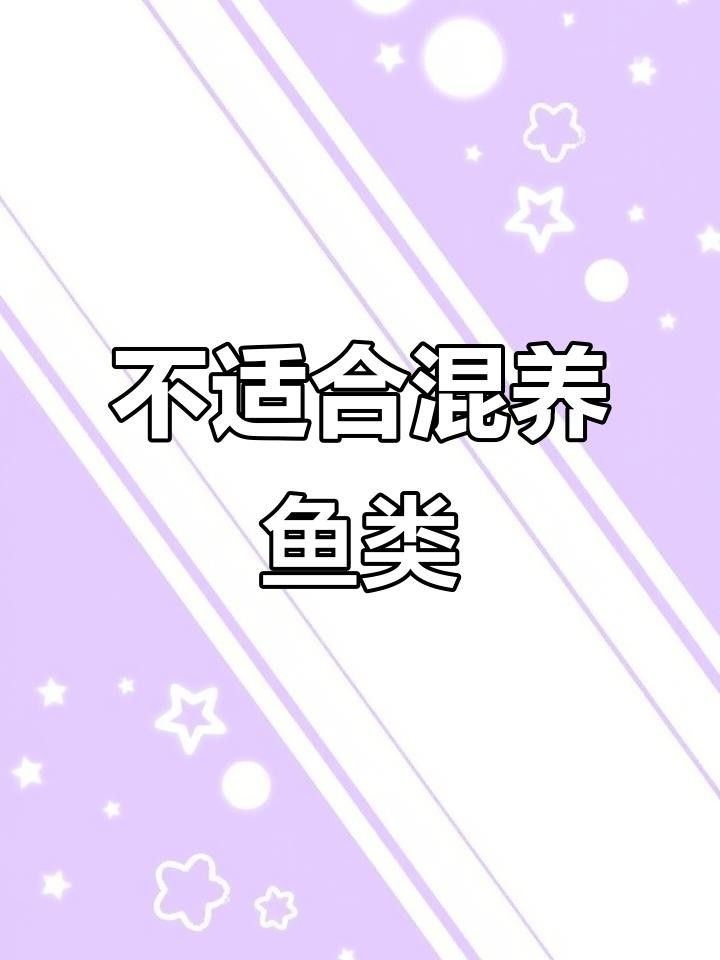 一米二的魚缸可以混養哪些魚？