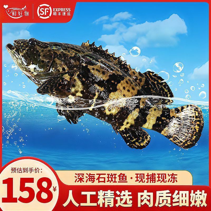 龍魚的平均壽命是多少：龍魚的壽命一般在10-20年左右，平均壽命是多少 龍魚的平均壽命是多少：龍魚的壽命一般在10-20年左右，平均壽命是多少 龍魚百科 第2張