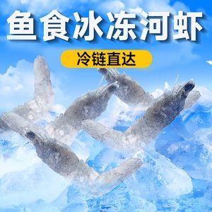 雷龍魚飼料推薦：雷龍魚飼料的選擇