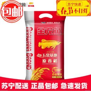 金龍魚燈哪個品牌好一點：金龍魚燈哪個品牌好