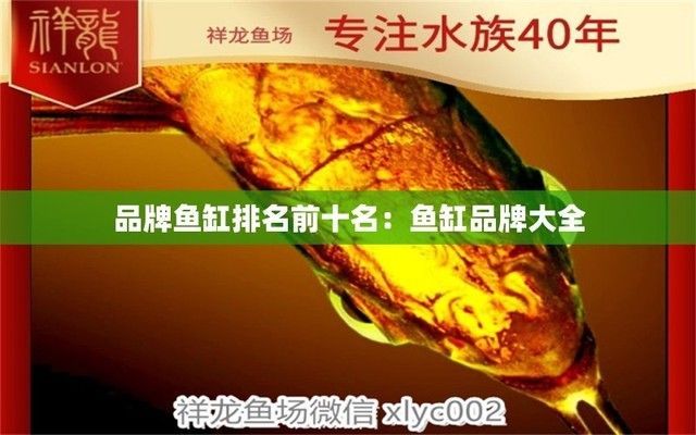 魚缸性價比高的品牌排行榜有哪些，性價比高的魚缸品牌，排行榜，性根據(jù)市場評測標(biāo)準(zhǔn)