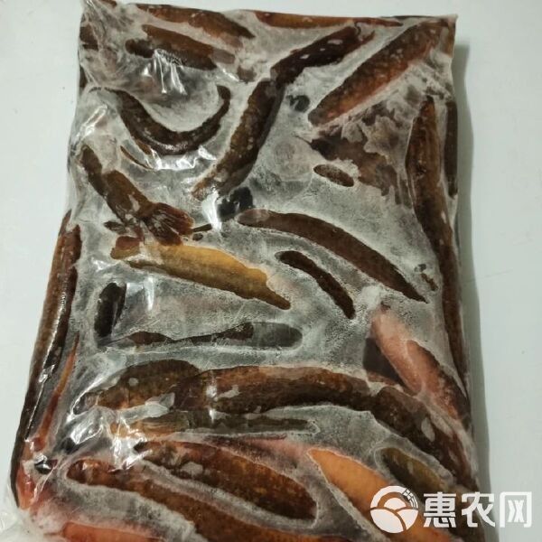 龍鰍魚的價格是多少？