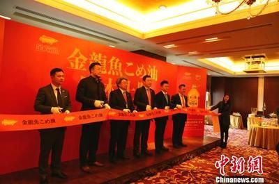 金龍魚發(fā)布會(huì)在哪里看：2018金龍魚新聞發(fā)布會(huì)