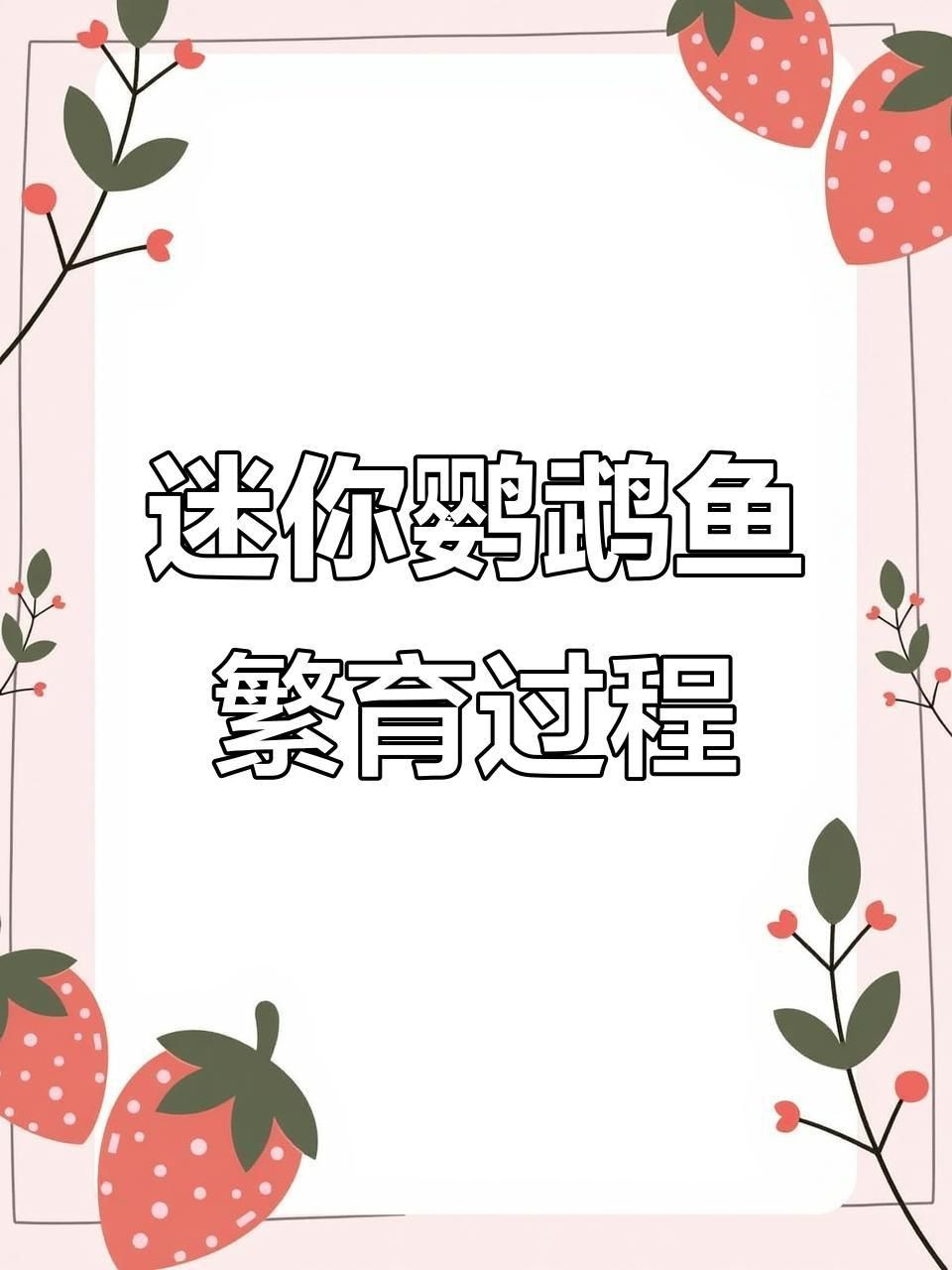 迷你鸚鵡魚(yú)卵孵化要幾天