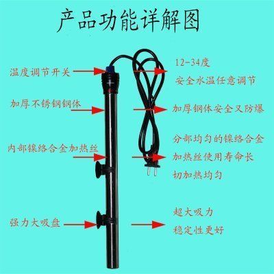 金龍魚價格及圖片表（金龍魚價格及圖片表大全）