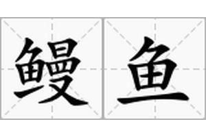 毛魚(yú)和鰻魚(yú)一樣嗎