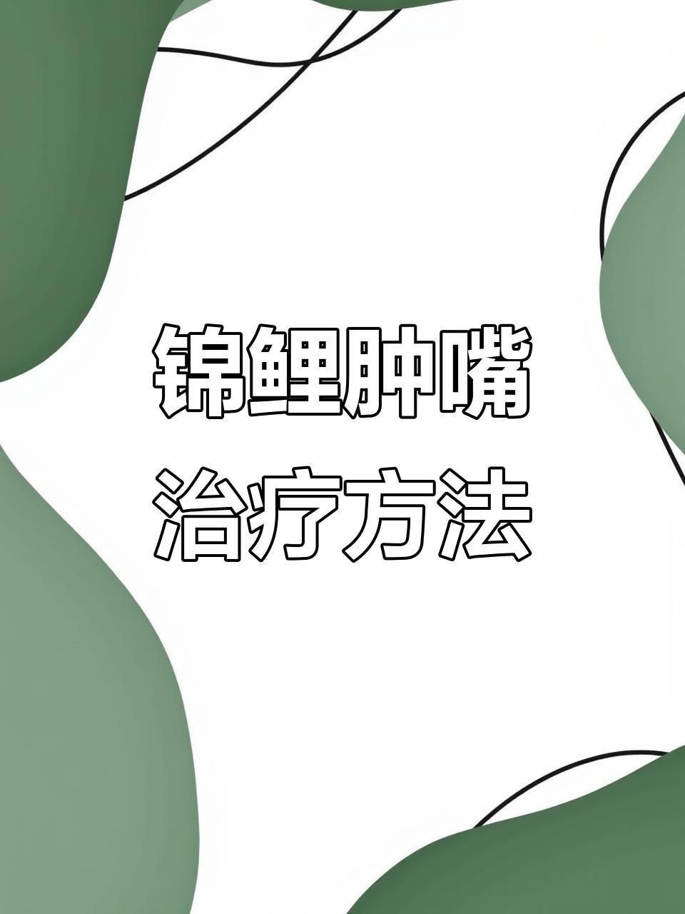 錦鯉嘴撞歪了多久能恢復 龍魚百科 第3張 錦鯉嘴撞歪了多久能恢復 錦鯉嘴撞歪了多久能恢復 龍魚百科 第3張