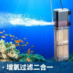 龍魚嘴巴爛了用什么藥：龍魚嘴巴爛了需要使用適當的藥物進行治療，龍魚爛嘴恢復期護理