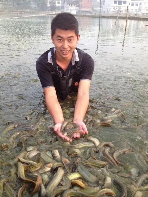 龍魚飼料魚用什么魚好釣