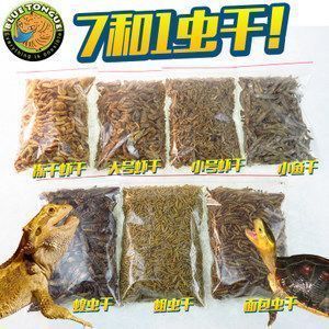 釣魚大咖金龍魚怎么釣(金龍魚釣具配置指南金龍魚釣具配置指南) 龍魚百科 第2張 釣魚大咖金龍魚怎么釣(金龍魚釣具配置指南金龍魚釣具配置指南) 釣魚大咖金龍魚怎么釣(金龍魚釣具配置指南金龍魚釣具配置指南) 龍魚百科 第2張