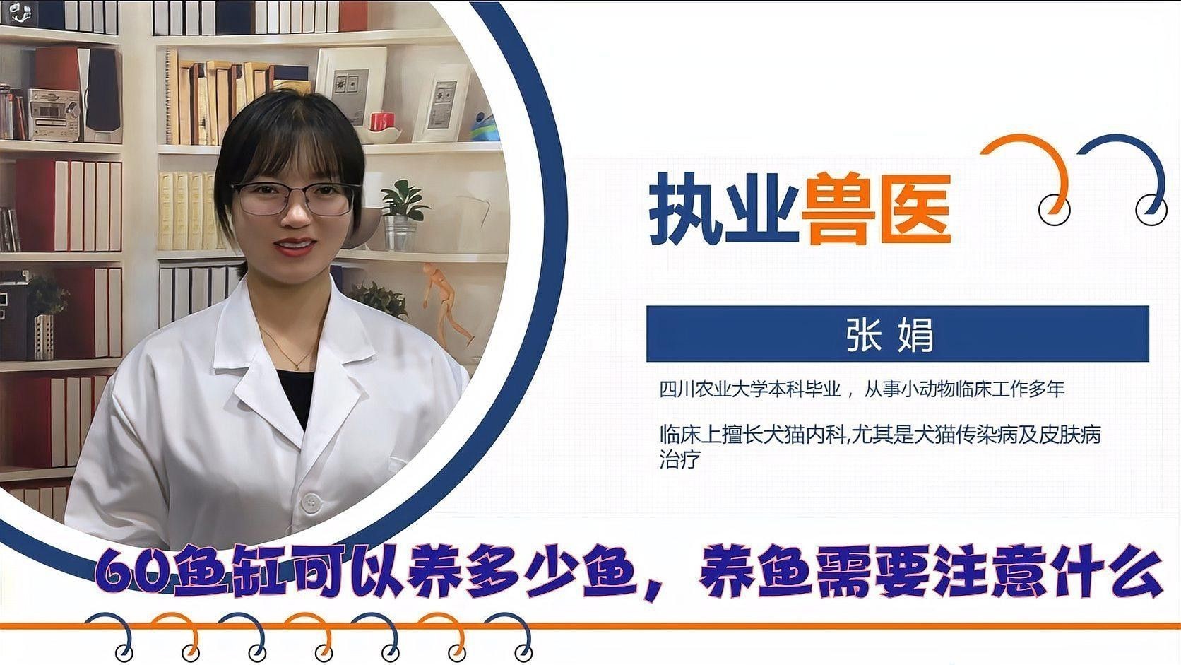 60cm缸養什么魚合適？