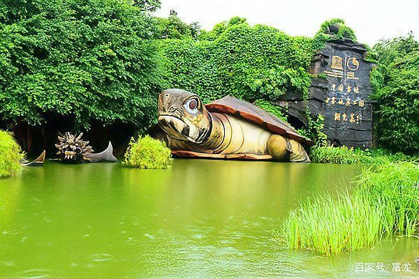 湛江瑪珥湖的龍魚是什么魚