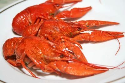 龍魚多久能生小龍蝦：龍魚一般多久能生小龍蝦 龍魚多久能生小龍蝦：龍魚一般多久能生小龍蝦 龍魚百科 第2張