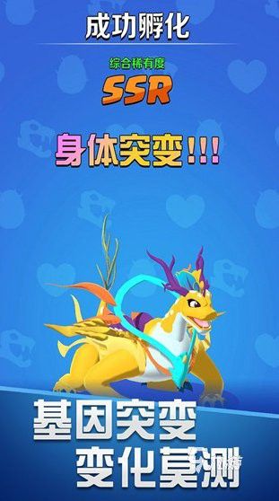 《養(yǎng)龍》哪個版本更受歡迎？ 《養(yǎng)龍》哪個版本更受歡迎？ 龍魚百科 第6張