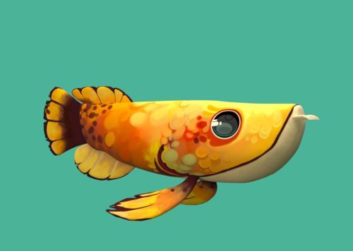 金龍魚頭像卡通可愛的金龍魚頭像：金龍魚頭像卡通可愛圖片和素材搜索結果中有一些卡通可愛 金龍魚頭像卡通可愛的金龍魚頭像：金龍魚頭像卡通可愛圖片和素材搜索結果中有一些卡通可愛 龍魚百科 第1張