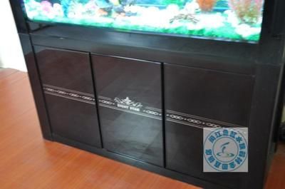 龍魚水族箱最佳尺寸：龍魚水族箱布置技巧龍魚水族箱布置技巧龍魚水族箱布置技巧