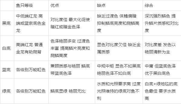 龍魚魚缸底色和背景色的區別在哪：魚缸底色與背景色對龍魚的影響