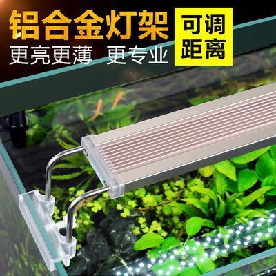 龍魚原生環(huán)境怎么樣：龍魚原生環(huán)境對(duì)其生長(zhǎng)、發(fā)育和發(fā)色有著重要的影響