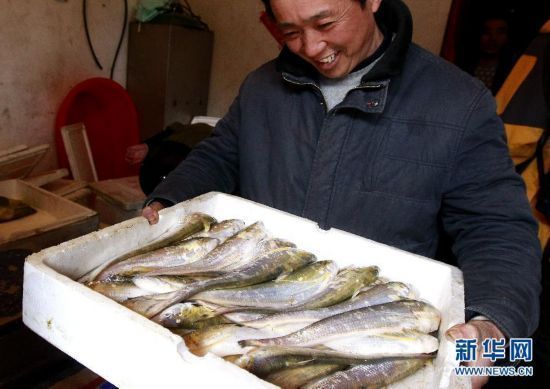 彩蝶魚缸廠家聯(lián)系方式，彩蝶魚缸廠家的聯(lián)系方式